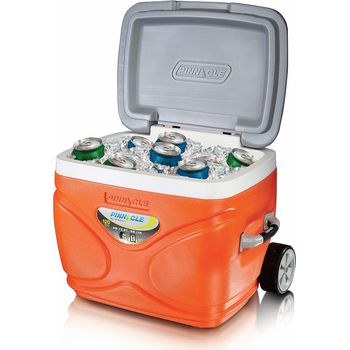 Pinnacle Prudence Cooler Box 66L