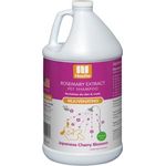 Nootie Rejuvenating Shampoo Japanese Cherry Blossom 3.78L