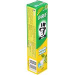 Darlie Toothpaste Double Action Mint 100g