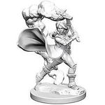Wizkids Pathfinder Deep Cuts: Human Female Cleric 2