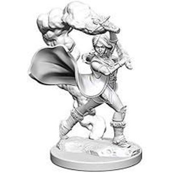 Wizkids Pathfinder Deep Cuts: Human Female Cleric 2