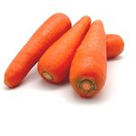 Carrot              