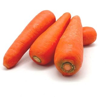 Carrot              