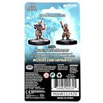 Dungeons & Dragons Gnome Artificer Male