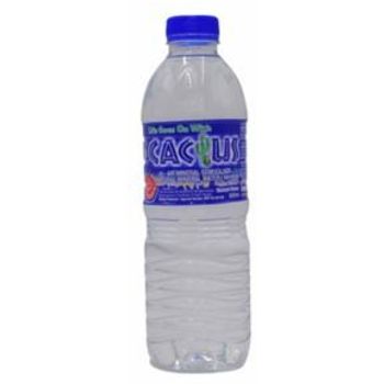 Cactus Mineral Water 500ml