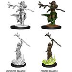 Dungeons & Dragons Human Druid