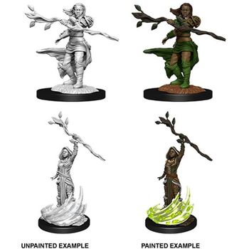 Dungeons & Dragons Human Druid