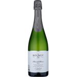 Bolney Wine Estate Blanc De Blans 2016 750ml