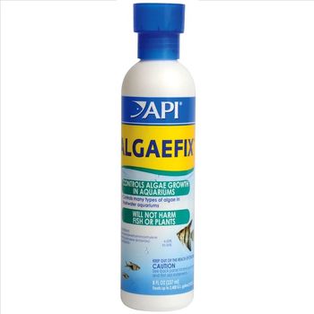 API Algae Control Solution 237ml