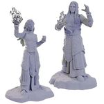 Dungeons & Dragons Elf Wizards