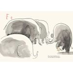 HarperCollins Publishers Once Upon An Alphabet by Oliver Jeffers