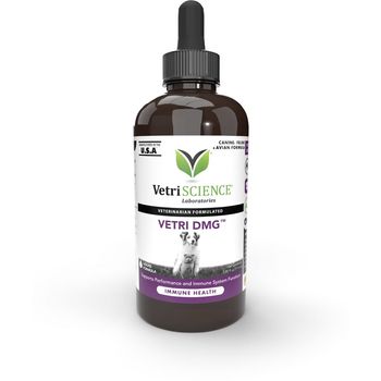 Vetri DMG Immune Support for Dogs & Cats Liquid 120ml