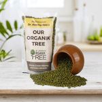 Organic Whole Green Moong Dal 450g