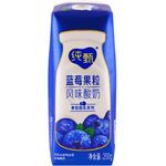 Mengniu Yogurt Blueberry Perisa 250ml