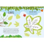 Sassi Stickers And Activities Nature