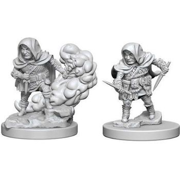 Wizkids Halfling Male Rogue