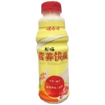 Wahaha Nutri Express Pineapple 500ml