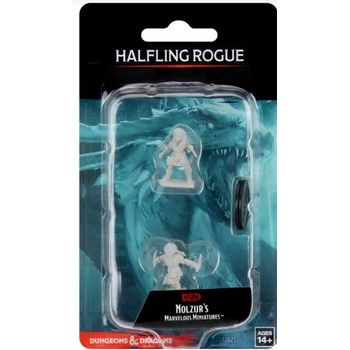 Dungeons & Dragons Halfling Rogue Female