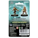 Dungeons & Dragons Halfling Rogue Female