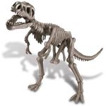 4M Dig A Dinosaur Skeleton Tyrannosaurus Rex