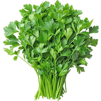 Coriander Box