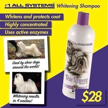 All Systems Pure White Lightening Shampoo 473ml