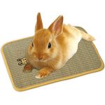 Marukan Clean House with Skylight and Staircase for Hamster