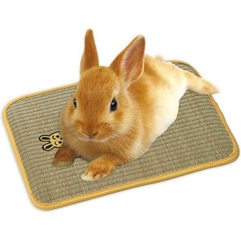 Marukan Clean House with Skylight and Staircase for Hamster