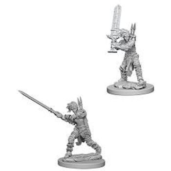 WizKids Pathfinder Deep Cuts Unpainted Miniatures Wave 6 Human Female Barbarian