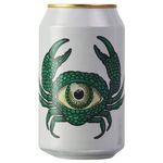 Fermenterarna Eye Sea Hazy IPA 330ml
