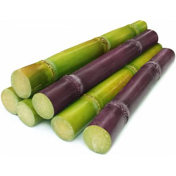 Sugar Cane