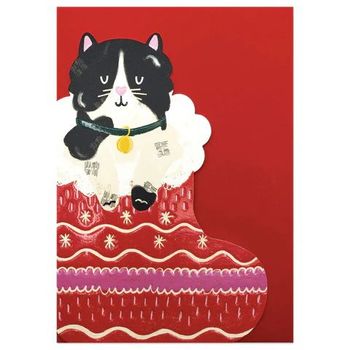 Raspberry Blossom Black And White Cat in Christmas Stocking