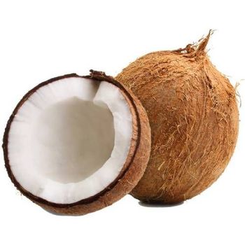 Coconut India       