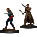 WizKids D&D Nolzur's Marvelous Unpainted Miniatures Shifter Rogue female