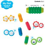 Smartmax My First Sounds And Senses