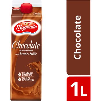 F&N Magnolia Fresh Milk Chocolate