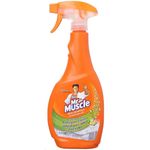 Mr Muscle All Purpose Cleaner 500ml