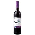 Two Oceans Shiraz 750ml