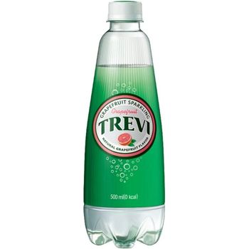 Trevi Dried Grape Soda 500ml