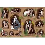 Thames & Hudson The Book Of Dirt