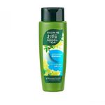 Follow Me Green Tea Shampoo Anti Dandruff 320ml