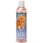 Biogroom Kuddly Kitten Shampoo 8ounce