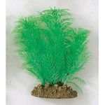 Nisso Aquatic Plants M-3 [Pack of 3]