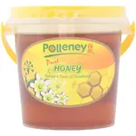 Polleney Pure Honey 1kg