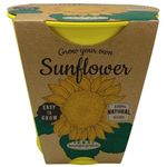 Boutique Garden Pastel Colours Pots Chalk Sunflower