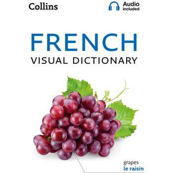 Collins Visual Dictionary French