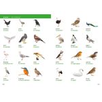 Collins Visual Dictionary French