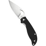 Spyderco Byrd Raven 2 Folding Knife Black