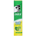Darlie Double Action Toothpaste 225g
