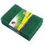 Ying Fu 5Pcs Scouring Pad